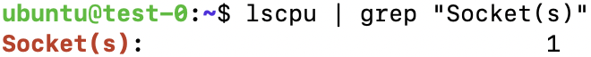 Output of the lscpu | grep 'Socket(s)' command showing 1 Output of the lscpu | grep 'Socket(s)' command showing 1